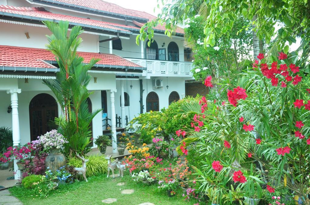 Angel Rest Otel Mirissa Dış mekan fotoğraf