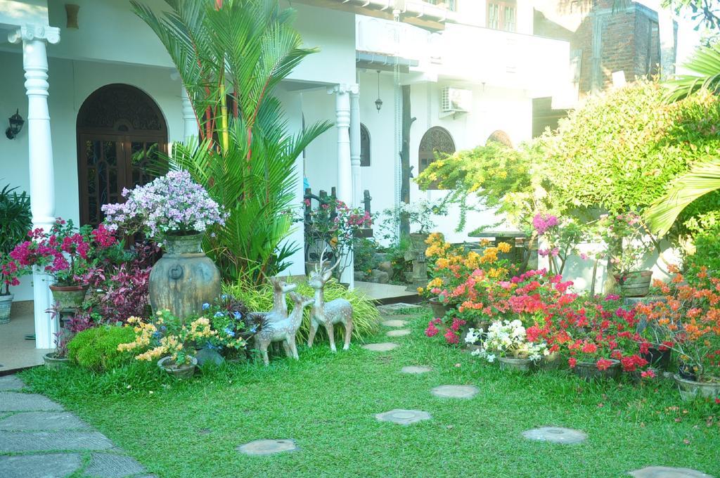 Angel Rest Otel Mirissa Dış mekan fotoğraf