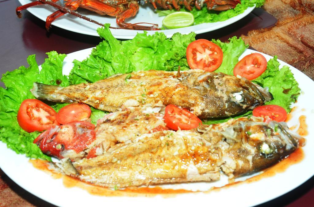 Angel Rest Otel Mirissa Dış mekan fotoğraf
