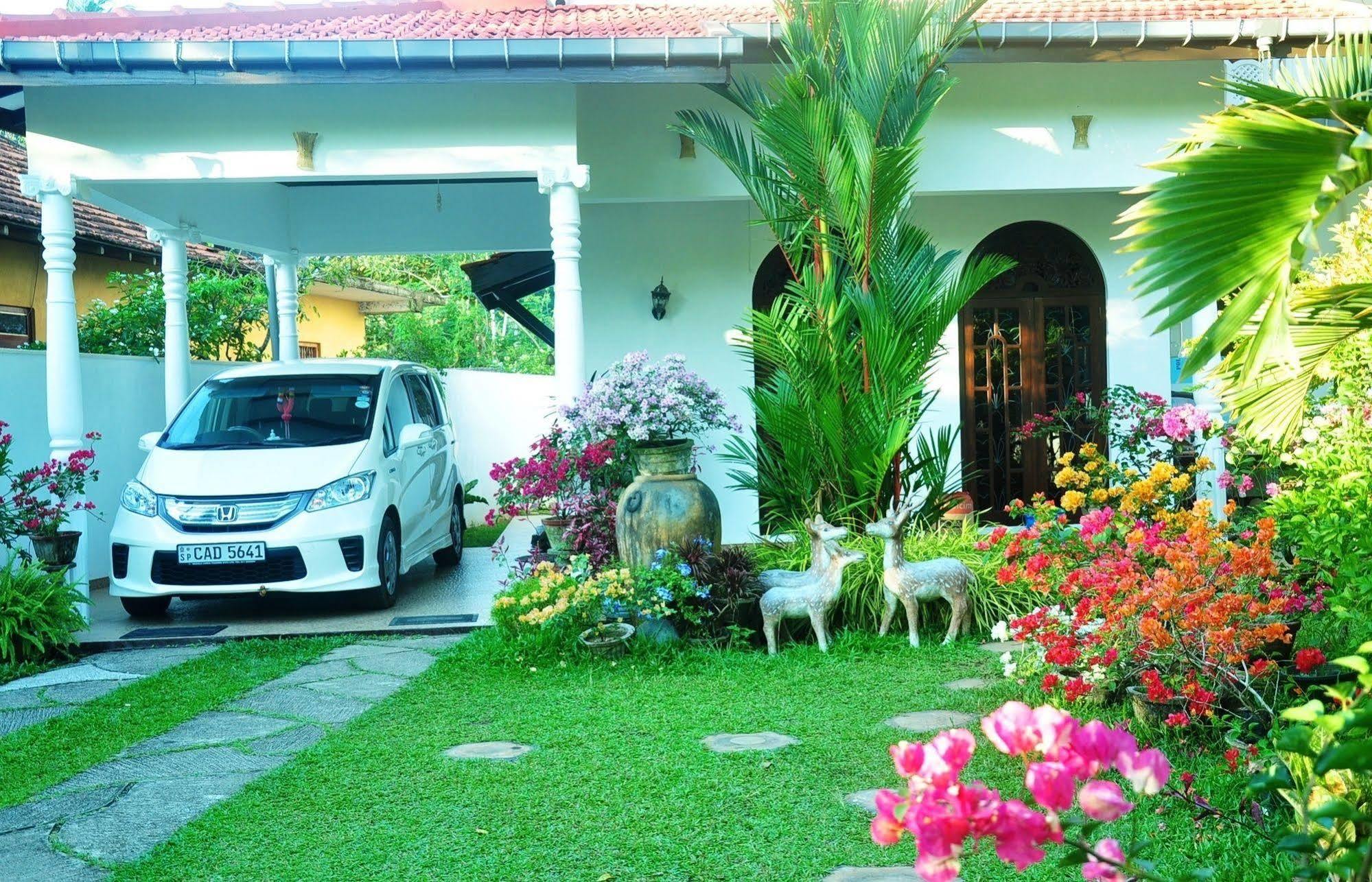 Angel Rest Otel Mirissa Dış mekan fotoğraf